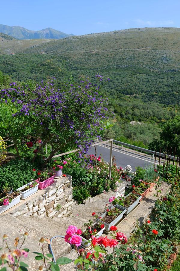 Saranda Landscape Lägenhet