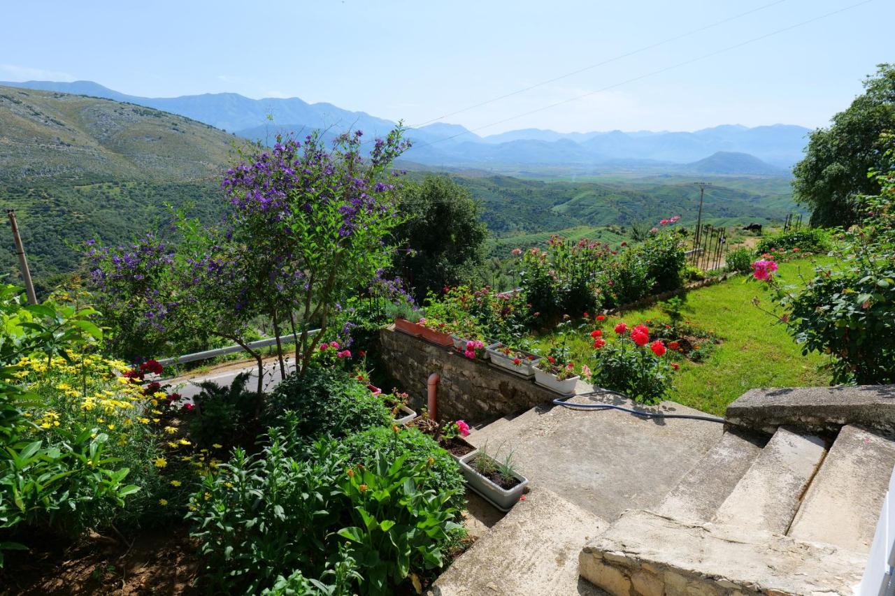 Saranda Landscape Nivice